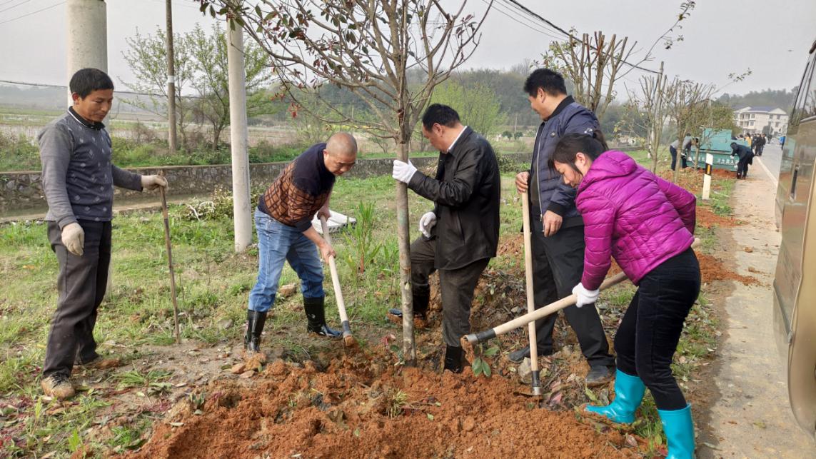 大祥区: 义务植树正当时 干群合力添新绿(图3)